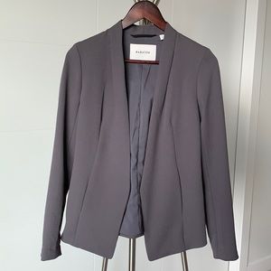 Babaton by Aritzia Keith Blazer